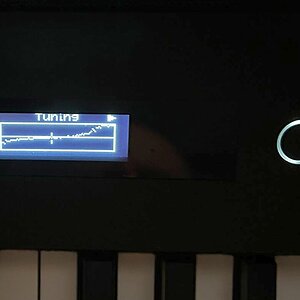 Single Note Temp.jpg