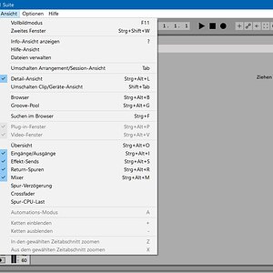 Live 11 Videofenster.jpg