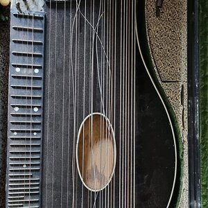 zither1.jpeg