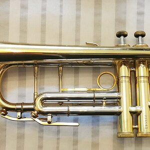 Musica Steyr Austria.jpg