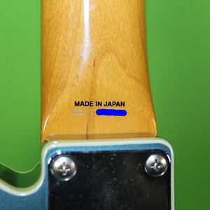 IMG_8908 unseeing sn.jpg