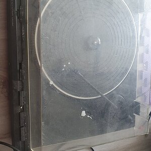 20241019_101043.jpg