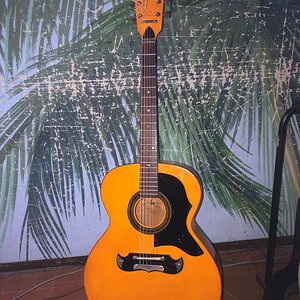 WhatsApp Image 2 2024-10-26 at 08.48.48.jpeg