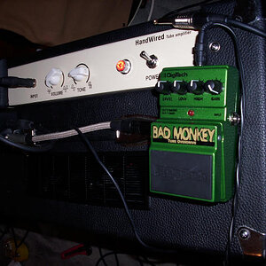 Golden Ton Pics 014.jpg