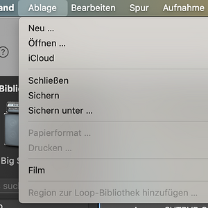 Bildschirmfoto 2025-01-14 um 16.59.12.png