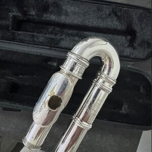 korrodierte und verdellte Mundlochplatte.jpg