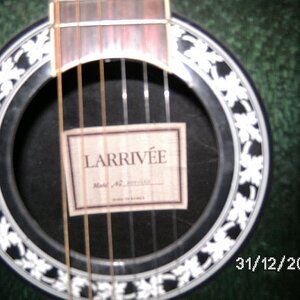 larrivee_0201103_640x480.jpg