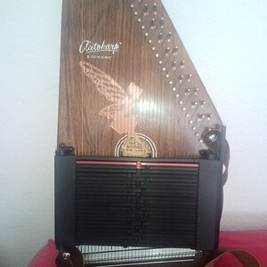 78er Autoharp.jpg