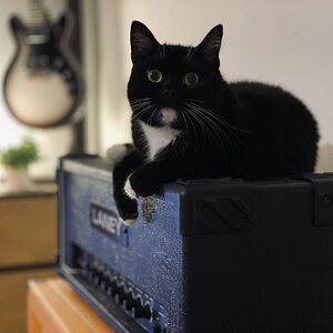 IMG_5636.jpeg