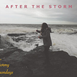cover after the storm Nadine.jpg