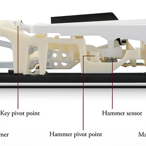 Kawai Responsive Hammer Compact.jpg