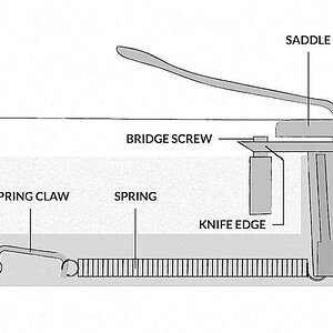 guitar-tremolo-diagram-set-up.jpg