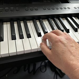 Hand 1.jpg