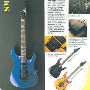 cat_1991chevy_011.jpg