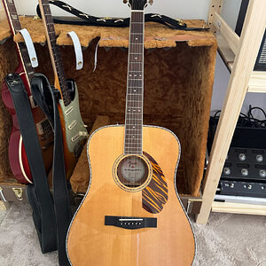 fender_paramount.jpg