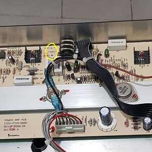 Peavey-Bandit-Red-Stripe-Guts~2.jpg