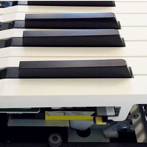 roland pha key action.jpg