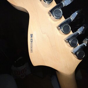 IMG_8688.jpeg