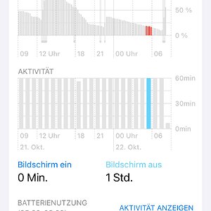 WhatsApp Image 2025-10-22 at 08.16.24.jpeg