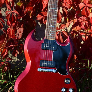 54 Gibson SG Special 2019 Vintage Sparkling Burgundy 35.JPG
