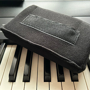 Ritter Bern 1125 Polster.jpg