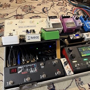 Mittel (IMG_9456).jpeg