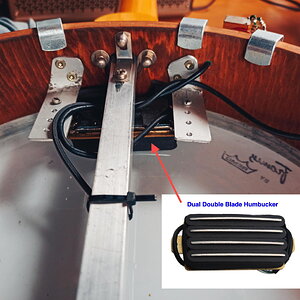 Humbucker von unten mit Bild.jpg