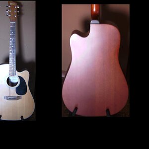 Charvel Jackson Ansicht mit Paint.jpg