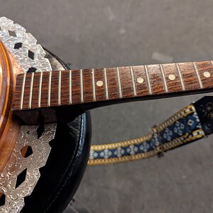 05. Griffbrett geölt.jpg