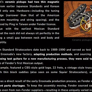 Fender Standard Stratocaster Mexico_2.jpg