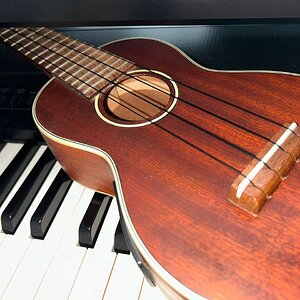 Stagg Soprano Ukulele.jpeg