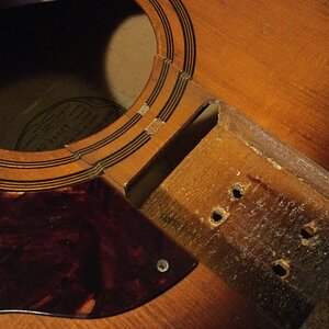 tdmg 1 bearbeitet.JPG