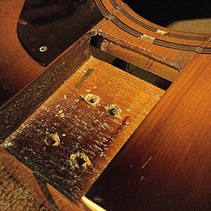 tdmg 2 bearbeitet.JPG