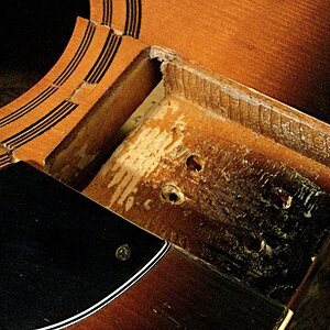 tdmg 3 bearbeitet.JPG