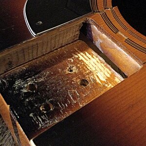 tdmg 4 bearbeitet.JPG