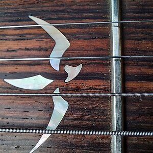 81 PRS 513 2008 13.jpg