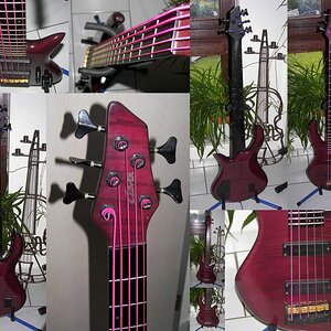 E-Bass - Clover 5-Saiter.JPG