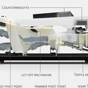 Kawai RHIII Action.jpg