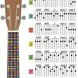 uku 1 bfa00.jpeg Kopie.jpg