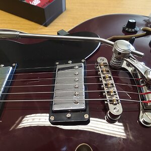 Neue Brücke und Vibrato.jpg