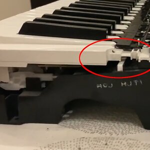 Yamaha GHS-Action.jpg