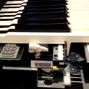 Roland PHA-4 Mechanik.jpg