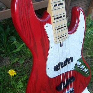 100_7017 (Large).JPG