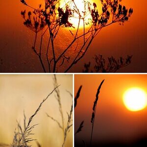 NATUUR PUR