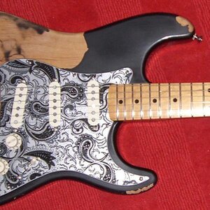 guitarzoo