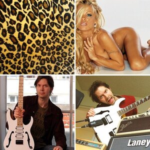 Guitar Heros