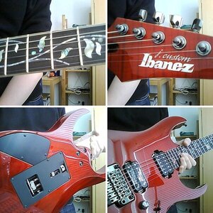 Ibanez RG8420ZD
