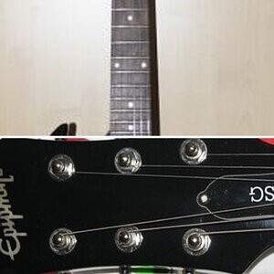 Meine Epiphone G-310