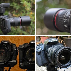 Fotografie