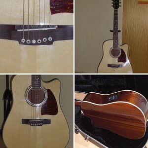 Ibanez AW 40 ECE-NT
